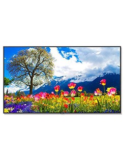 NEC M981LCD Display