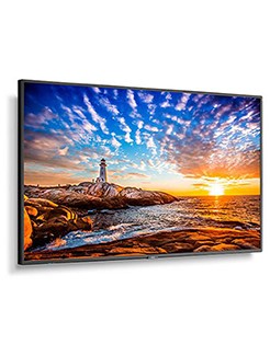 NEC MultiSync P555