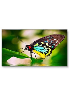 NEC UN552  LCD Display