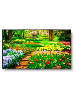 NEC MultiSync M491-AVT3