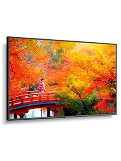 NEC MULTISYNC MA491-MPI4E