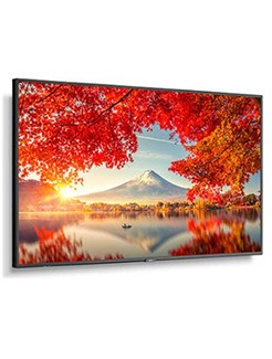 NEC MA551-PT
